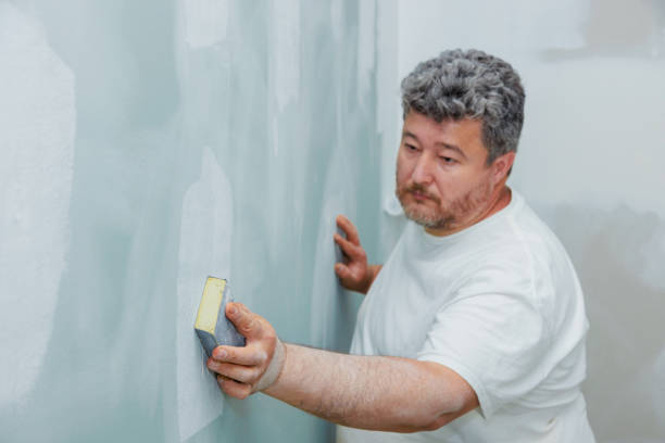 Best Ceiling Drywall Installation  in Winona, MS